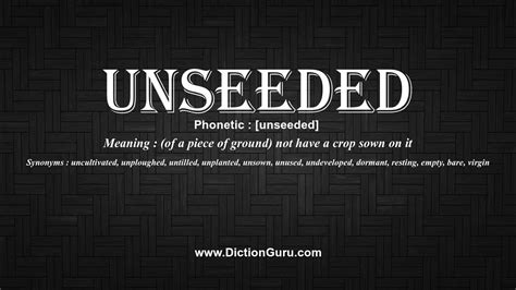 Unseeded Definition & Meaning